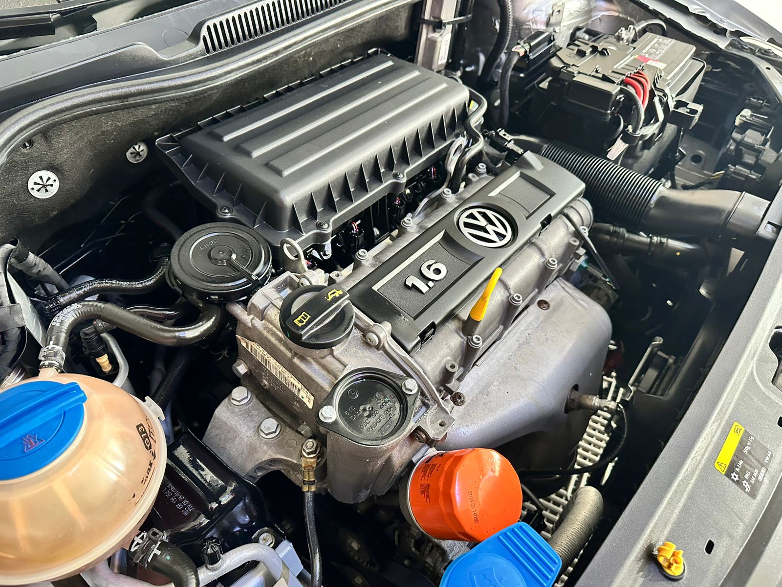 WhatsApp Image 2025-10-13 at 11.02.59 AM (1)