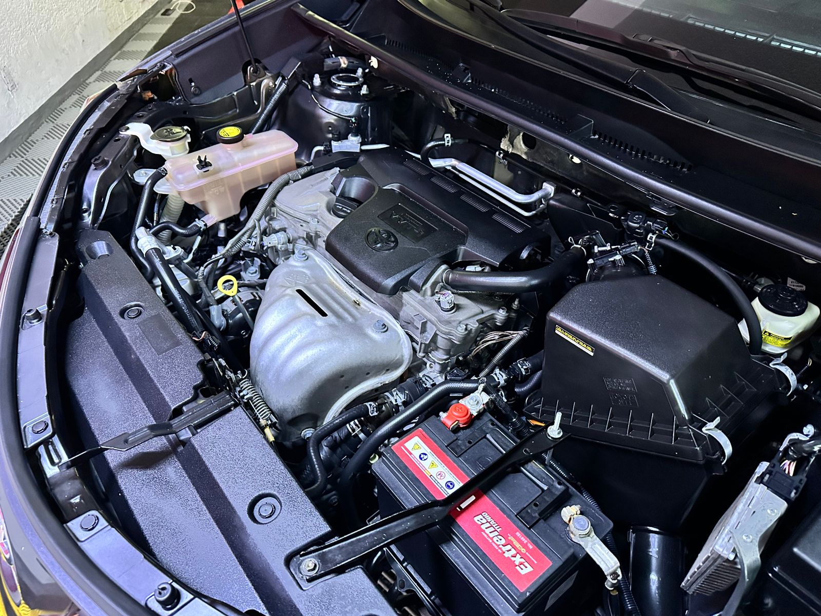 WhatsApp Image 2026-01-29 at 7.05.05 PM (2)